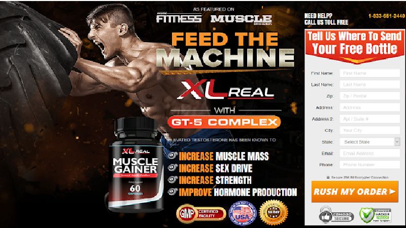 XL Real Muscle Gainer 2